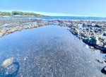 The tide pools at Black Sands beach are just a five minute walk from the unit and provide a lovely spot for little ones to play and enjoy the abundant marine life.